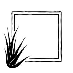 Wall Mural - a minimalistic, eye-catching square frame with an aloe vera plant, embodying the simplicity and puri