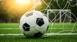 © fantastic - Soccer Ball in Goal Net on Green Field at Sunset