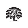 © Akhi Akhter - Banyan tree Vector (5).eps