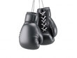 © xbzz - Two shiny black leather boxing gloves hang suspended by their white laces and metal chains against a stark white backdrop in a 3D rendered illustration.