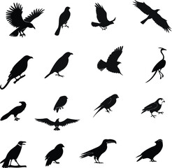 a flock of elegant bird silhouettes ideal for logo design branding and scalable graphics projects