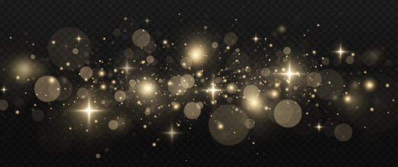 Wall Mural - golden dust sparks and luminous stars shine with a magical light effect on a transparent background.