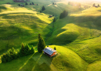 Wall Mural - aerial view of green alpine meadows with houses on the hills at sunrise in summer. top view of mount