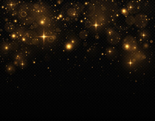 Wall Mural - luxury dust sparks and golden stars shine with a special glowing light on a black background. magica
