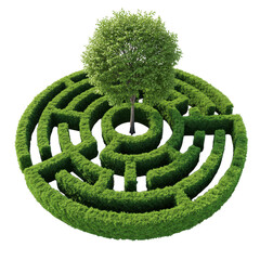green maze with tree isolated on transparent background