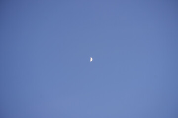 moon in the sky