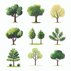 Collection of nine different flat style vector trees with various leaf shapes and colors isolated on white background for landscaping and nature illustration design concepts