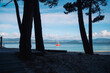 © Maria Sher/Stocksy - Red sailboat seen between dark tree trunks