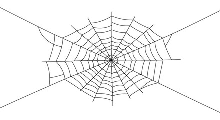 cobweb, spiderweb, dark background, intricate, detailed, black and white, gothic, eerie, creepy, mysterious, ominous, haunting, intricate pattern, symmetrical design, radial composition, organic shape
