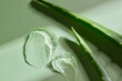 © Marc Tran/Stocksy - Aloe vera gel with leaves, show natural beauty and skincare properties
