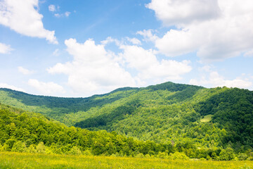 Wall Mural - countryside landscape in mountains of ukraine. beautiful view. rural field on the hill near the fore