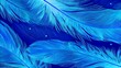 © Elena - Plumas de un azul vibrante dispuestas con gracia sobre un fondo oscuro