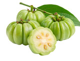 A close up of several green garcinia cambogia fruits with leaves on a white surface in bright light