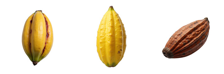 Fresh cocoa pods in various stages of ripeness displayed on a transparent background, showcasing yellow and brown cocoa fruits with clipping path for isolated use.