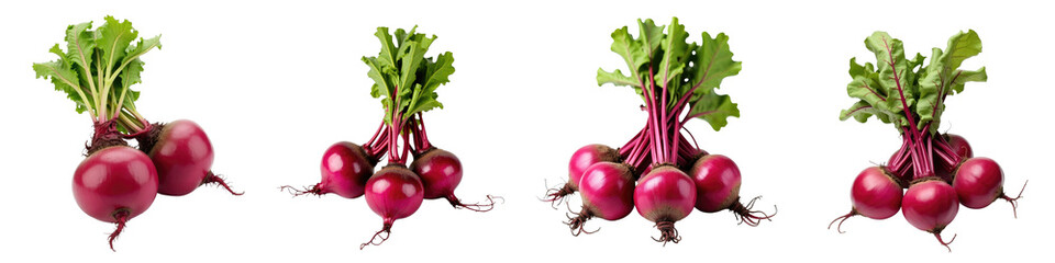 Chioggia beets with vibrant red skin and green leaves displayed in various groupings isolated on transparent background for culinary use