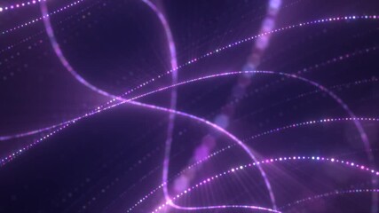 Wall Mural - vibrant purple and pink light trails forming an elegant, swirling abstract digital web on a dark bac