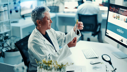 Aufkleber - Test tube, plant and science with woman and research for climate change, biology or medical at tech. Sustainability, pharmacy innovation and healthcare with mature scientist in lab for growth study