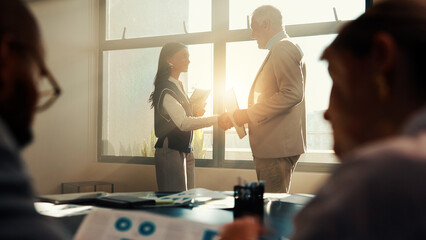 Poster - Business people, boss or shaking hands in company for financial achievement, target or profit growth. Investor, office or handshake in meeting for success, deal or well done for investment agreement