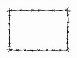  Barb frame 