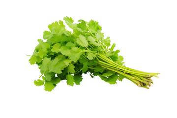 Wall Mural - Fresh cilantro sprigs isolated on white background