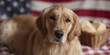 © Mind - Golden retriever beside picnic setup with USA flag backdrop