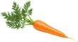 © Jonas - Isolated Carrot