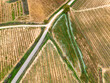 © yaqui_villegas - Curved vineyard rows in La Rioja Spain seen from above showing the beauty of agricultural patterns in autumn