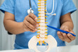 © kanruthai - Asian doctor holding spinal nerve and bone model, Lumbar spine displaced herniated disc fragment for treatment medical in the orthopedic department.