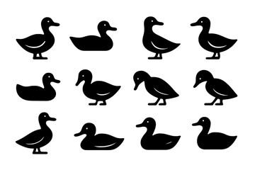 Aufkleber - Diverse collection of stylized ducks in various poses and orientations displayed on a white background