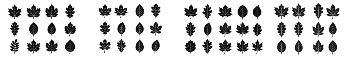 Poster - Variety of leaf silhouettes arranged in a patterned layout showcasing different shapes and sizes