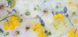 © Milou Dirks - seamless artistic colorful wallpaper with flowers from the field frozen in ice; daisy, buttercup, clover, lavender, geranium