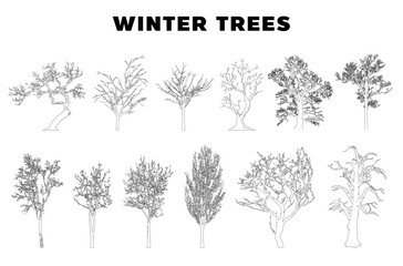 Aufkleber - Winter tree. Minimal style cad tree line, Side view, set of graphics trees elements outline symbol for architecture and landscape design drawing. Vector illustration in stroke fill in white. Tropical