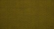 © Thiago - Olive green fabric with woven texture