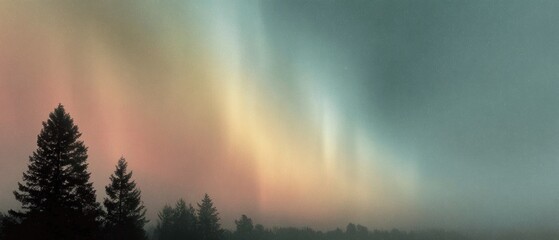 Poster - Vibrant Aurora Borealis over Comox Valley with Evergreen Silhouettes - Nature Tourism and Wilderness Experience for Eco and Wellness Marketing