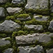© MohammadImran - Close-up of moss-covered stone wall showing natural textures and earthy color palette.png