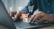 © Norah Allen - Online Shopping Person Using Laptop for E commerce Purchases Multiple Shopping Carts