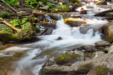 Wall Mural - water flow of shypit stream. summer nature scenery in dappled light. closeup view of refreshing outd