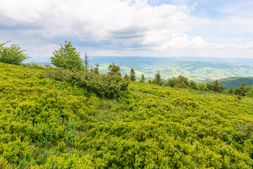 Wall Mural - carpathian mountain landscape in summer. view in to the distant valley. cloudy sky above horizon. al