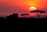 African wildlife silhouettes against a sunset safari landscape,  grassland,  element