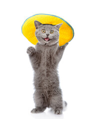 Poster - Happy cat wearing summer hat stands on hind legs and looks at camera. isolated on white background