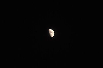 Wall Mural - half moon floating on sky in night 