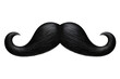 © rezia - black curly mustache beard isolated on white background PNG