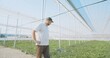 © DMegias - Farmer inspecting crops growing in greenhouse tunnel