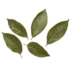 Wall Mural - bay leaves isolated on transparent background