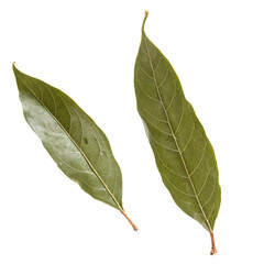 Wall Mural - bay leaves isolated on transparent background