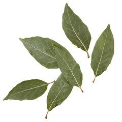 Wall Mural - bay leaves isolated on transparent background