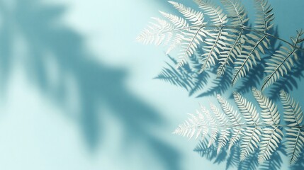Wall Mural - white fern leaves cast shadows on a light blue background.