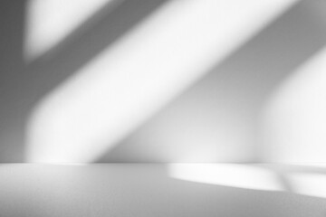 Poster - Wall interior background, studio and backdrops show products.with shadow from window color white and grey. background for text insertion and presentation product	