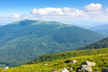 Wall Mural - picturesque mountain landscape with rocks and grass. alpine scenery with wonderful view in to the va