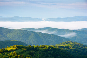 Wall Mural - mountainous countryside landscape with fog in the distant valley. mist rolling among hills in mornin